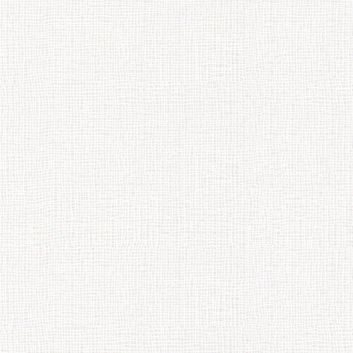 Flair_snow