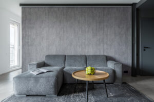 Living room with gray sofa