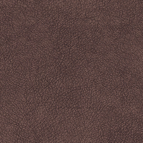 Skin_earth
