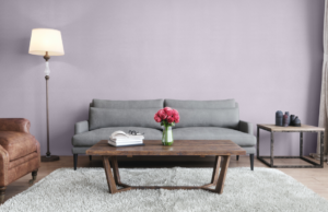 Novelio Decoration Non Woven
