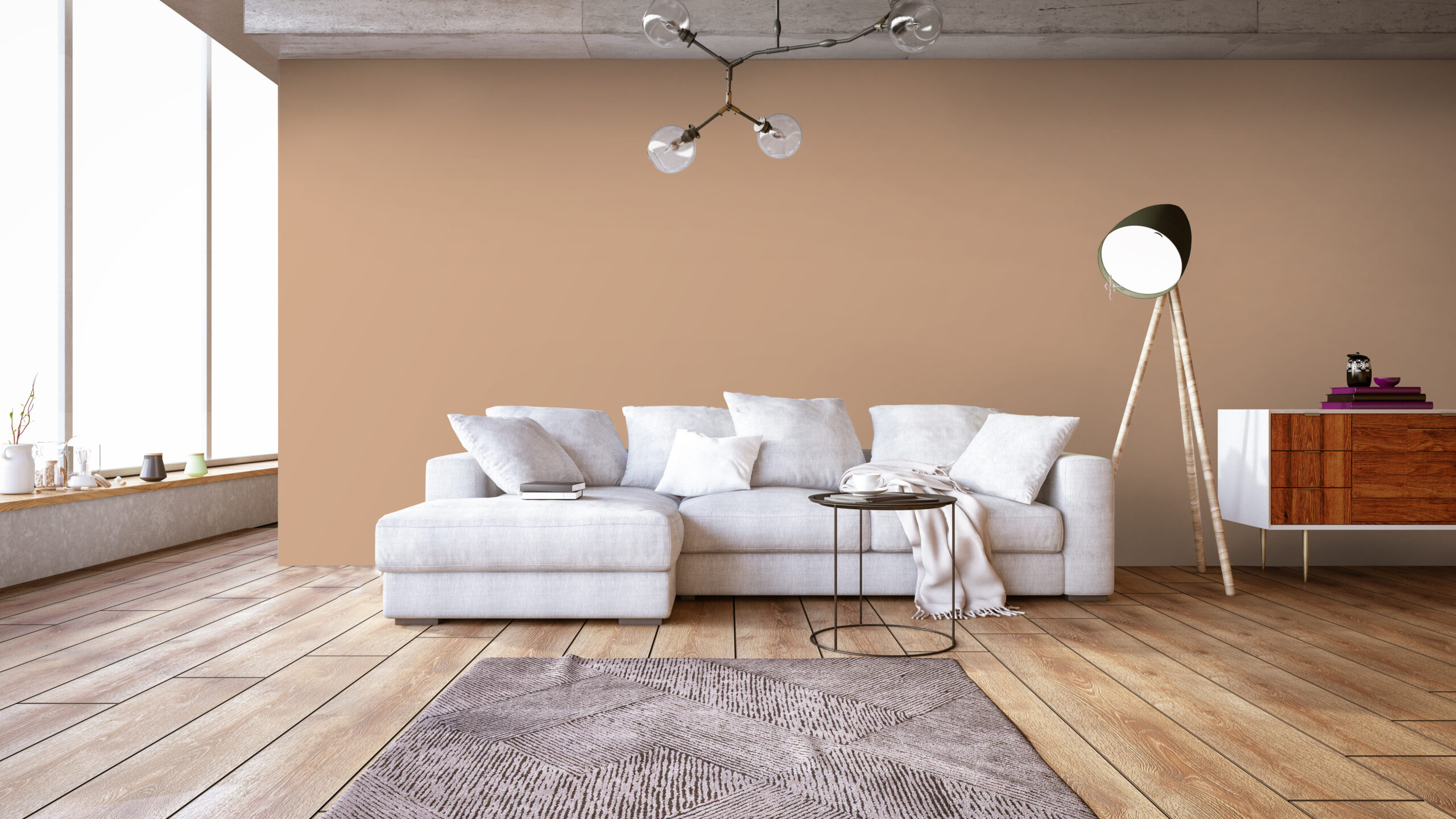 Modern Living Room with Sofa