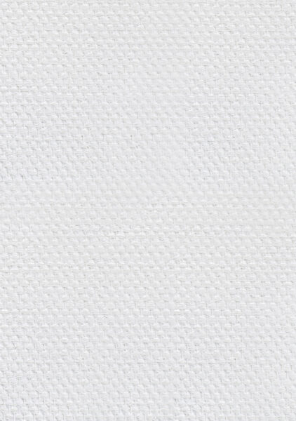 ADFORS Wallcovering Novelio Flashfibre Weaving White detail_162731